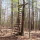 Featured: Hunting Stand