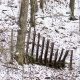 Featured: Old, broken-down pig fence in snowy woods