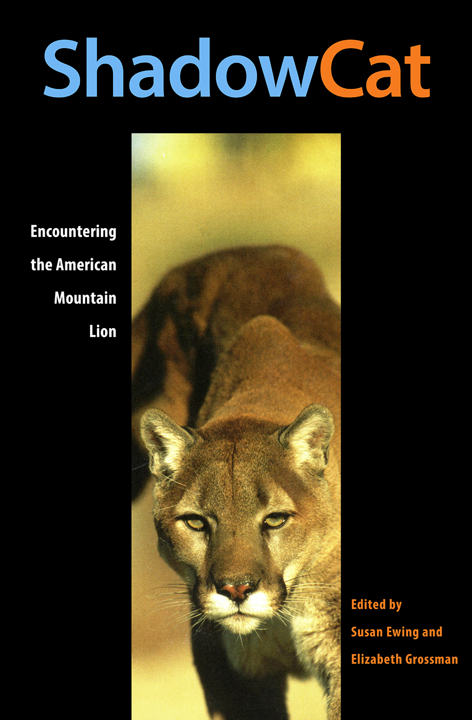 Shadow Cat - Encountering the American Mountain Lion