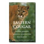Featured: The Eastern Cougar
