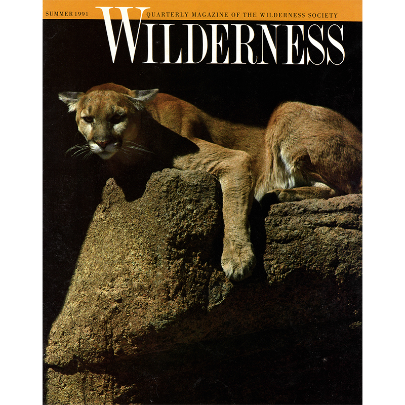 Featured: Wilderness Society cover - Full Page