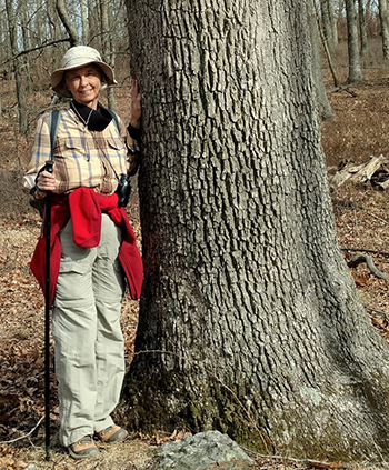 Smaller Gallery Image: Preparing to hug a large, old white oak near home in 2020.