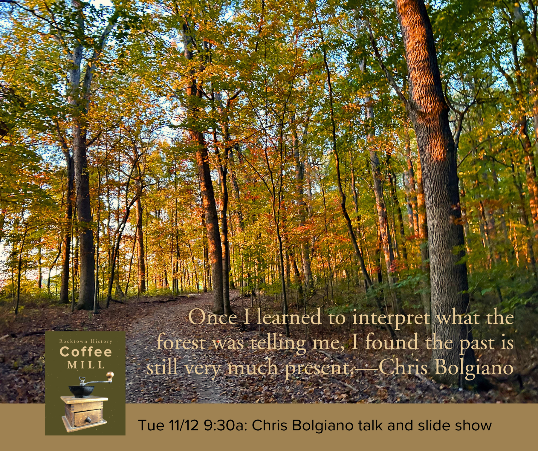 Forest Past Forest Forensics: Clues to the Past in Our Woods Today - Chris Bolgiano