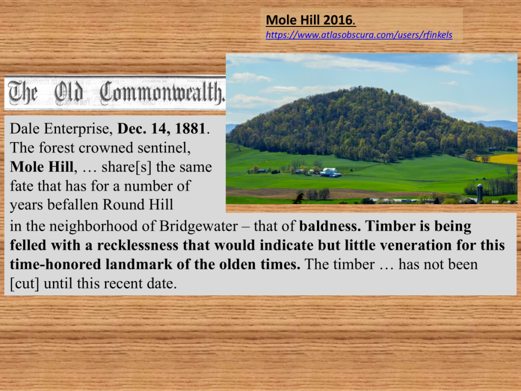 Slide: Mole Hill 2016