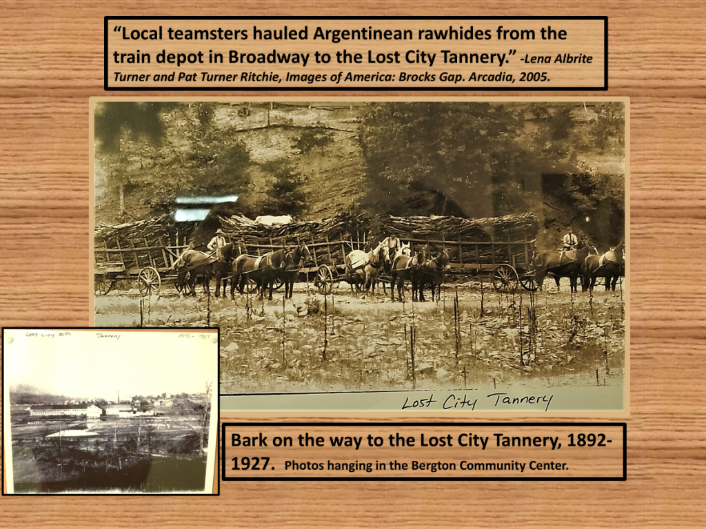 Slide: Tanbark industry - 1892 - 1927